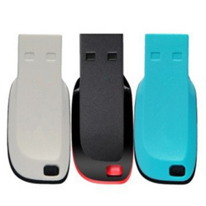 Plastic Case Mini Usb 2.0 Flash Drive Customized Plastic 1 2 4 8 16 32 64 128 GB Usb Stick