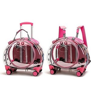 Petdom Trolley Backpack Portable Clear View Trolley Dog Cat House Wheeling Suitcase For Pet Travel Transparent Case Pet Carrier