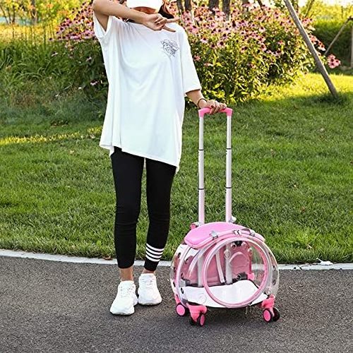 Petdom Trolley Backpack Portable Clear View Trolley Dog Cat House Wheeling Suitcase For Pet Travel Transparent Case Pet Carrier