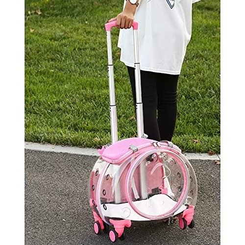 Petdom Trolley Backpack Portable Clear View Trolley Dog Cat House Wheeling Suitcase For Pet Travel Transparent Case Pet Carrier