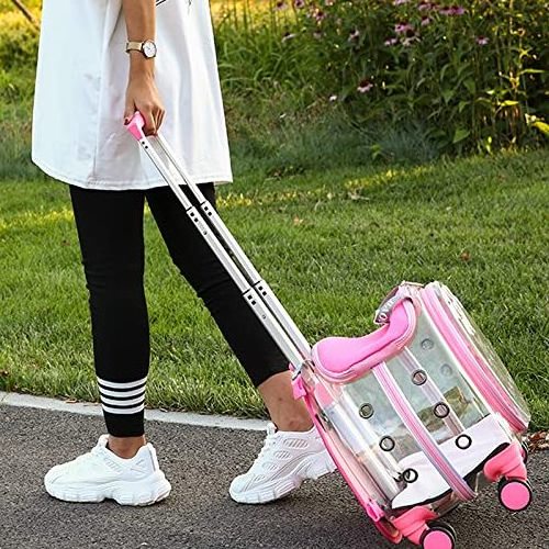 Petdom Trolley Backpack Portable Clear View Trolley Dog Cat House Wheeling Suitcase For Pet Travel Transparent Case Pet Carrier