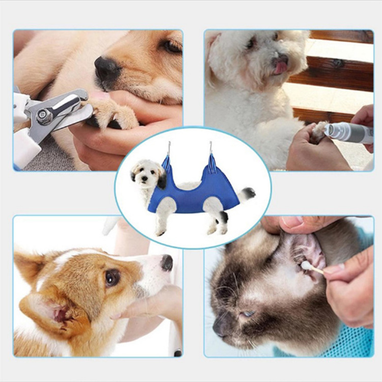 Pet Hammock Grooming Tools Cutting Nails Drying Hair 3d Air Mesh Cat Dog Pet Shop Accessories Pruning Set Comb Pet Nail Scissors