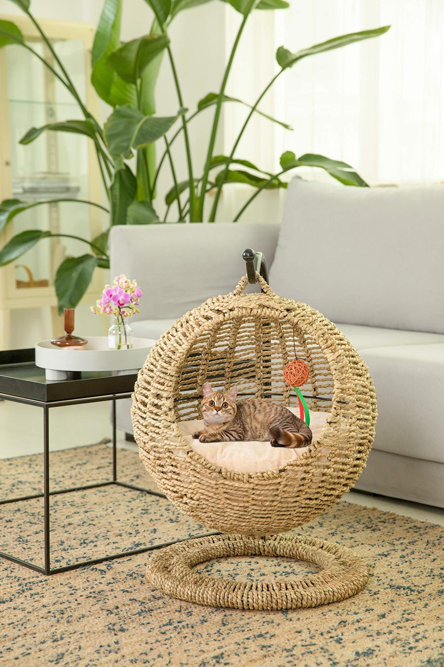 Petdom Hand Made Wicker Warm Comfortable Modern Cat Bed Basket Swinging Pet House Nest for Small Dog Cat with Cushion