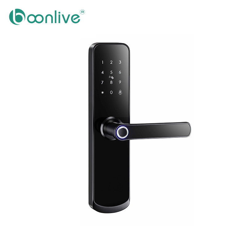 Boonlive Shenzhen NFC Security Smart Lock Work with Apple HomeKit&Mi Home App Xiaomi Automatic Biometric Fingerprint Door Locks