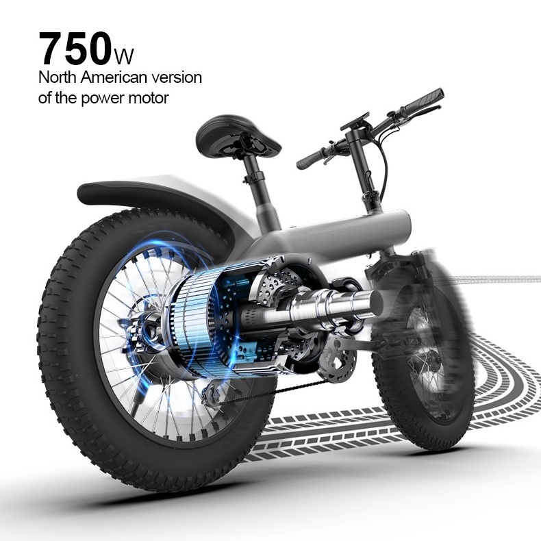 New Version Q3 20Inch Fat Tire 48V 13Ah Battery 750W All-terrain off-road E Bike Bicycle Folding Electric Mountain Bike