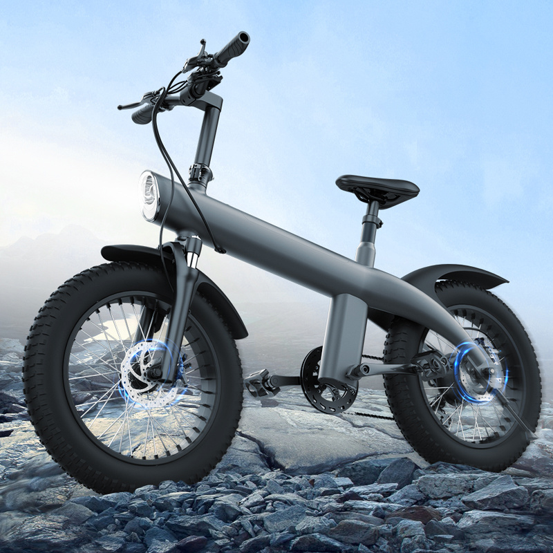 New Version Q3 20Inch Fat Tire 48V 13Ah Battery 750W All-terrain off-road E Bike Bicycle Folding Electric Mountain Bike