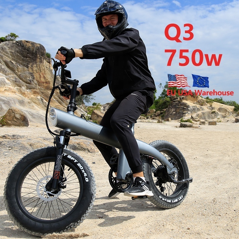 new 20inch fat tire 750w mountain bike electronic folding electric bicycle dirt e bike road city hyrid ebike electric cargo bike