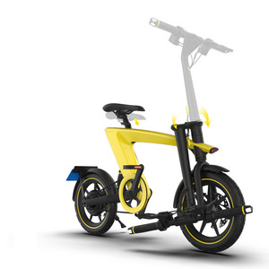 New 48V 500W Mid Drive Folding Bike Electric Bike From China