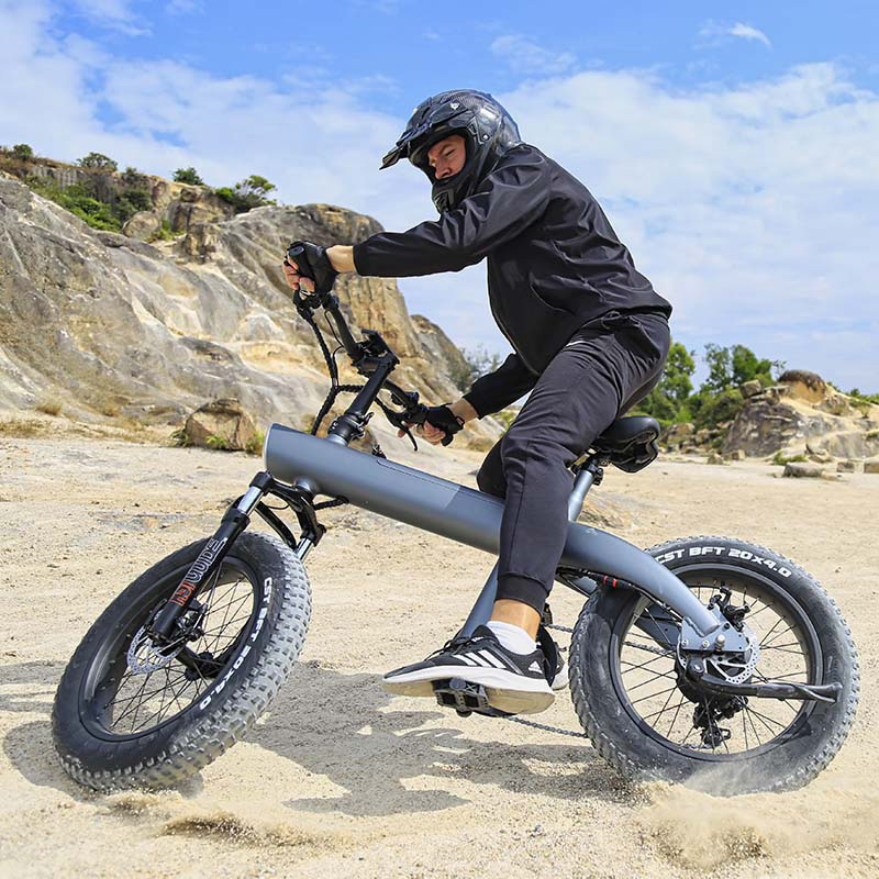 HX Q3 2024 new design eu usa warehouse e bike 750w powerful motor 20 inch off- road tires 100km ranges folding electric bike