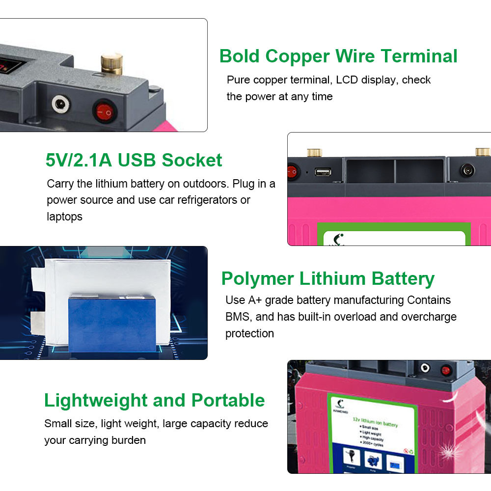 EU Stock Large capacity and light weight 12v 100ah solar rechargeable pack ion lithium battery Ukraine