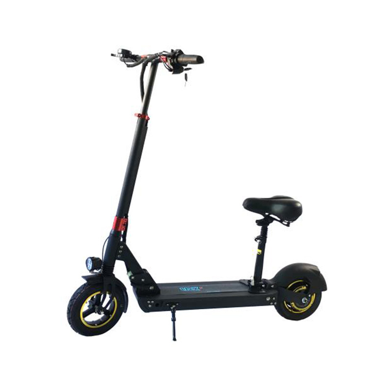 European Standard 48v 800w Electric Scooter Long Endurance Standing Two Wheel Scooter