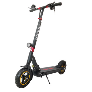 European Standard 48v 800w Electric Scooter Long Endurance Standing Two Wheel Scooter