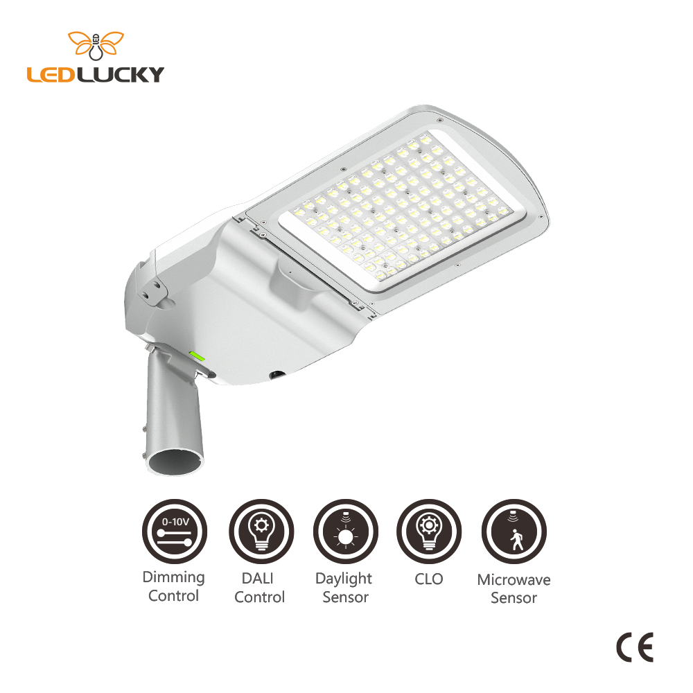 Outdoor Decorative Street Lights Enec High Luminosa Efficiency 20W Led Stand Alone 100W led street light 240W