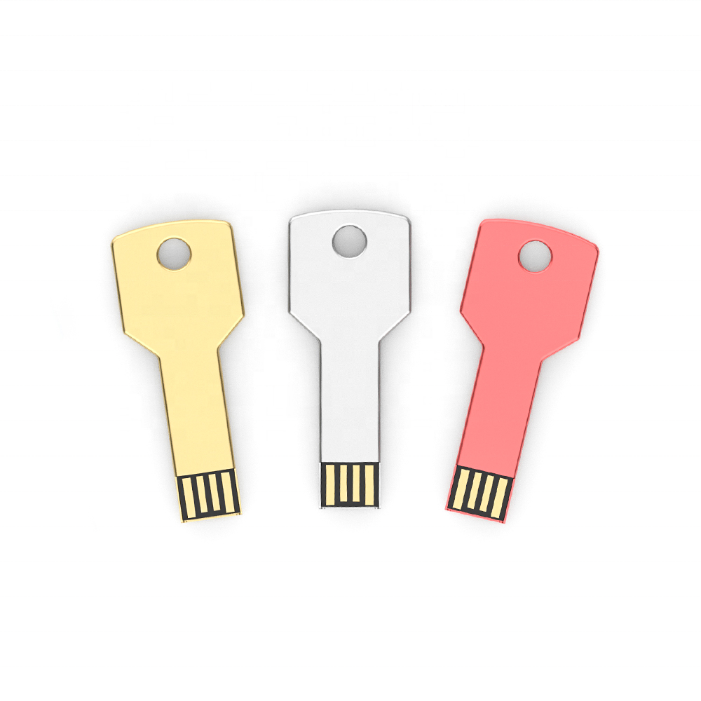 Key USB 1Gb 8Gb 16Gb 128Gb 256Gb 1Tb 2Tb Pendrive Key Memoria 2.0 Otg Usb C Flash Thumb Drive With Logo