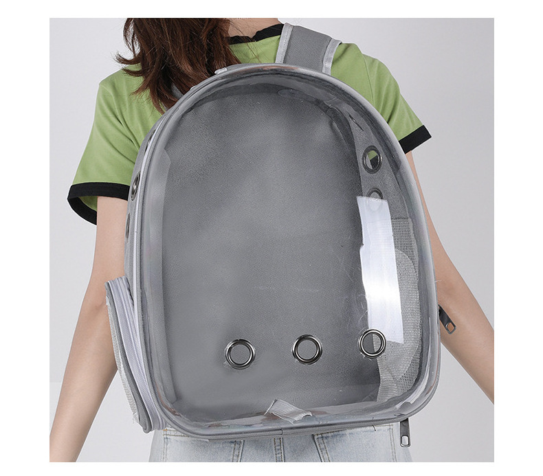 2021 Outdoor Airline Approved Travel Plastic Dog Pet Backpack  Bags Cat Carrier