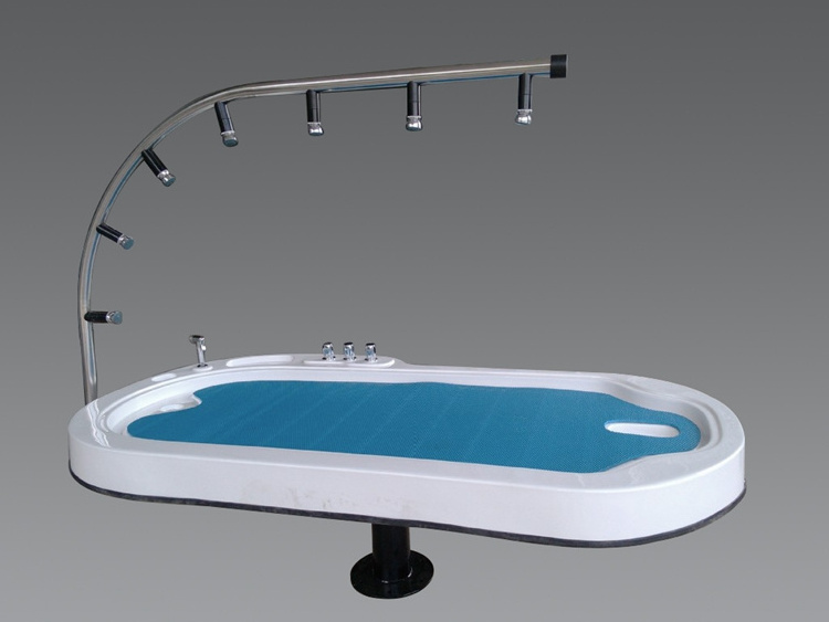 Newest Hydrotherapy Hydro Jet Massage Bed / Water Massage Bed for Sale