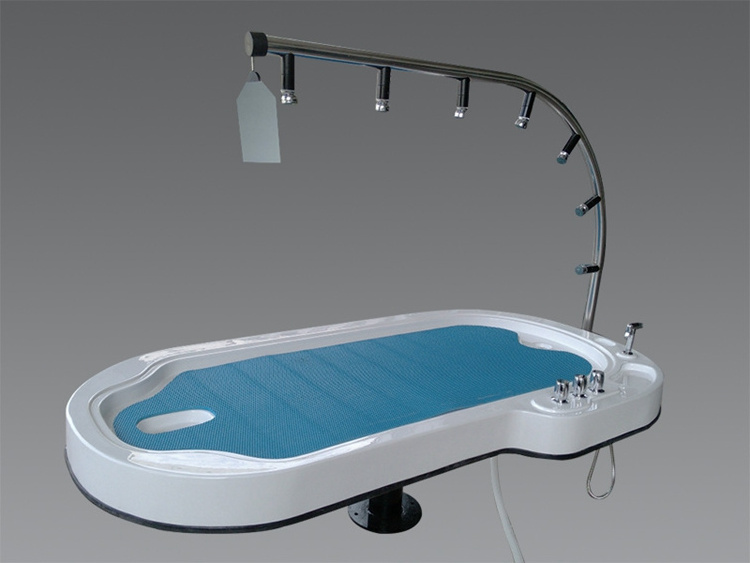 Newest Hydrotherapy Hydro Jet Massage Bed / Water Massage Bed for Sale