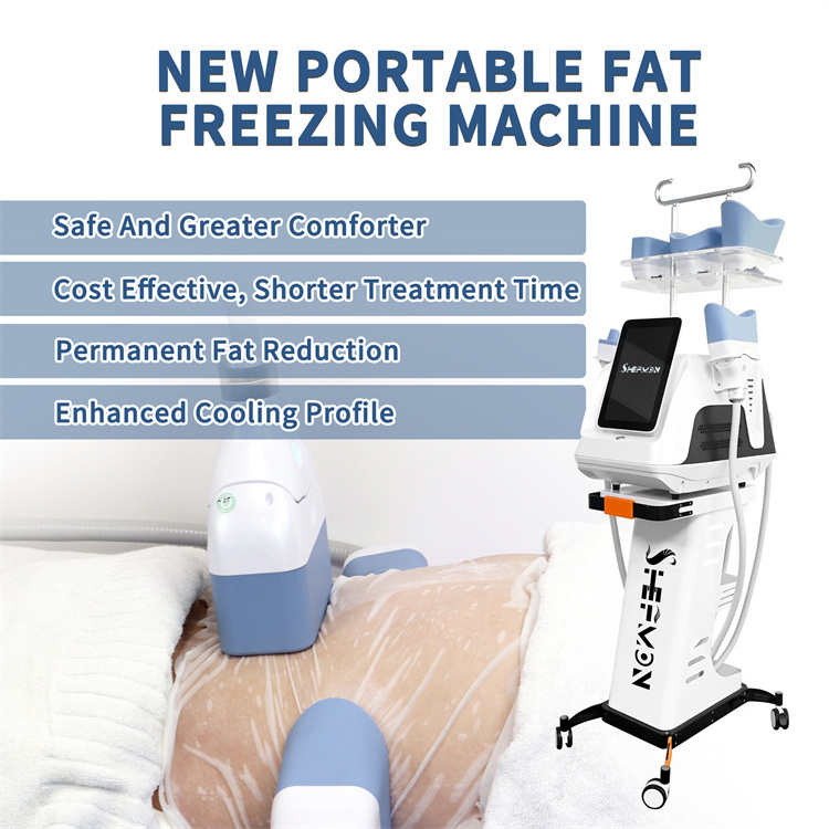 S25 Best Price 2 Handles Criolipolisis Portatil 360 Fat Freeze Cryotherapy Machine Portable