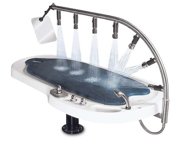 Newest Hydrotherapy Hydro Jet Massage Bed / Water Massage Bed for Sale