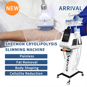 S25 Best Price 2 Handles Criolipolisis Portatil 360 Fat Freeze Cryotherapy Machine Portable