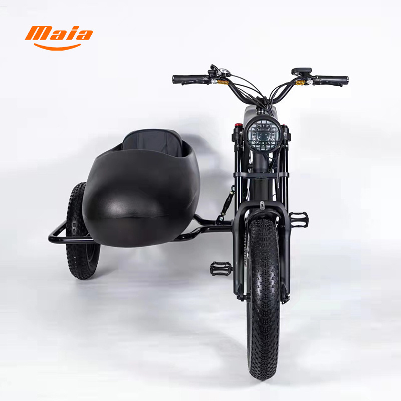 Factory OEM 3 wheel Electric bike adult electric tricycles sidecar, can be purchased separately