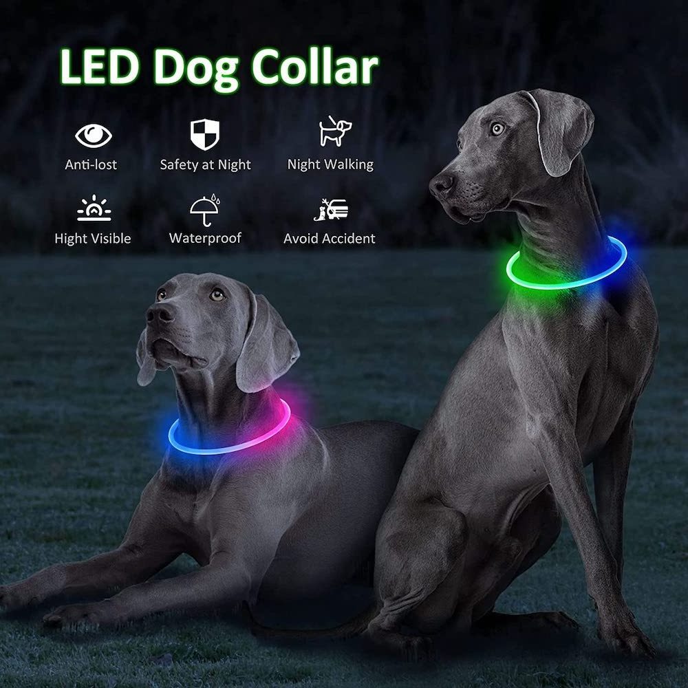 Pet Supplies Dual RGB Color LED Light Up Dog Collar Waterproof Cat Night Safety Flash Glow in Dark Luminous Pet Dog Led Collar