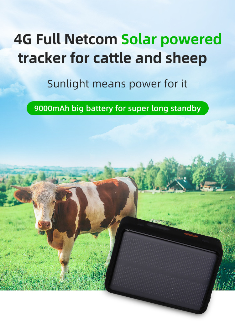 9000mAh Waterproof 4G LTE Cat1 Solar Power Locator Wild Animal Track Camel Cattle Sheep Horse Cow Satellite GPS Tracker Device