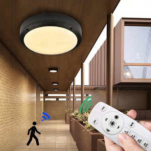 18W Radar Motion Sensor Waterproof Outdoor Ceiling Light with Remote LED Balcony Porch Lighting aluminum Dimmable led wall light