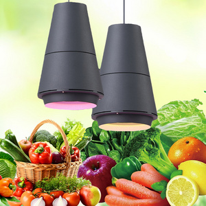 Aquatic cooked food chandelier lamp fruit 25w special light 85-265V Led supermarket vegetable fresh pork light