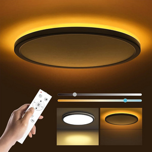 24W 12inch Remote Control LED Ceiling Light with Night light Bedroom Kitchen Living Room Dimmable Ceiling lamp