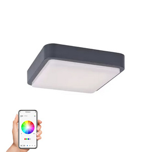 20W Smart Wifi ceiling light APP control dimmable RGB color changing wall light Black indoor/outdoor IP65 porch light