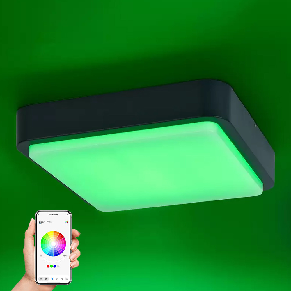 20W Smart Wifi ceiling light APP control dimmable RGB color changing wall light Black indoor/outdoor IP65 porch light