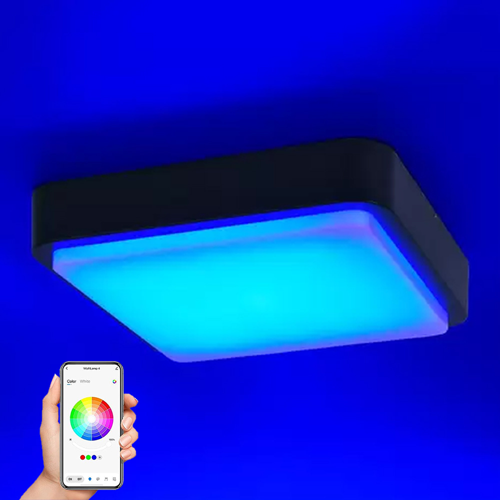 20W Smart Wifi ceiling light APP control dimmable RGB color changing wall light Black indoor/outdoor IP65 porch light