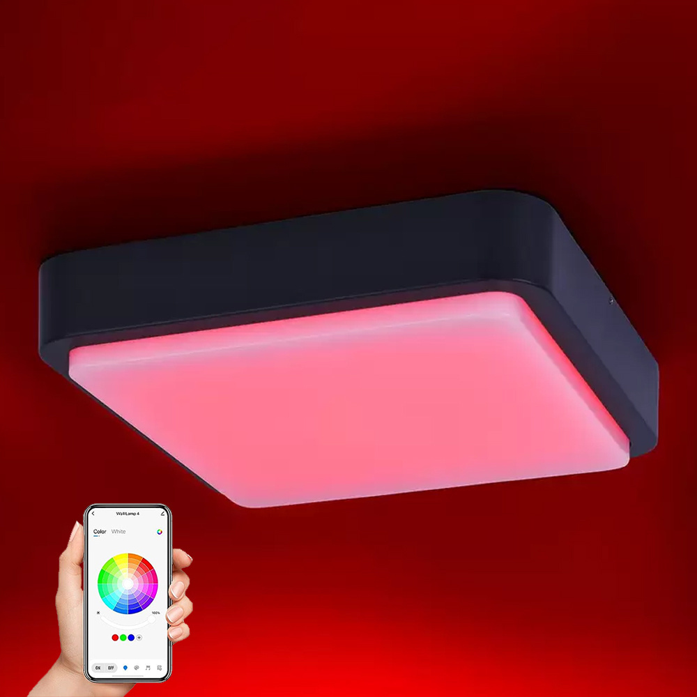 20W Smart Wifi ceiling light APP control dimmable RGB color changing wall light Black indoor/outdoor IP65 porch light