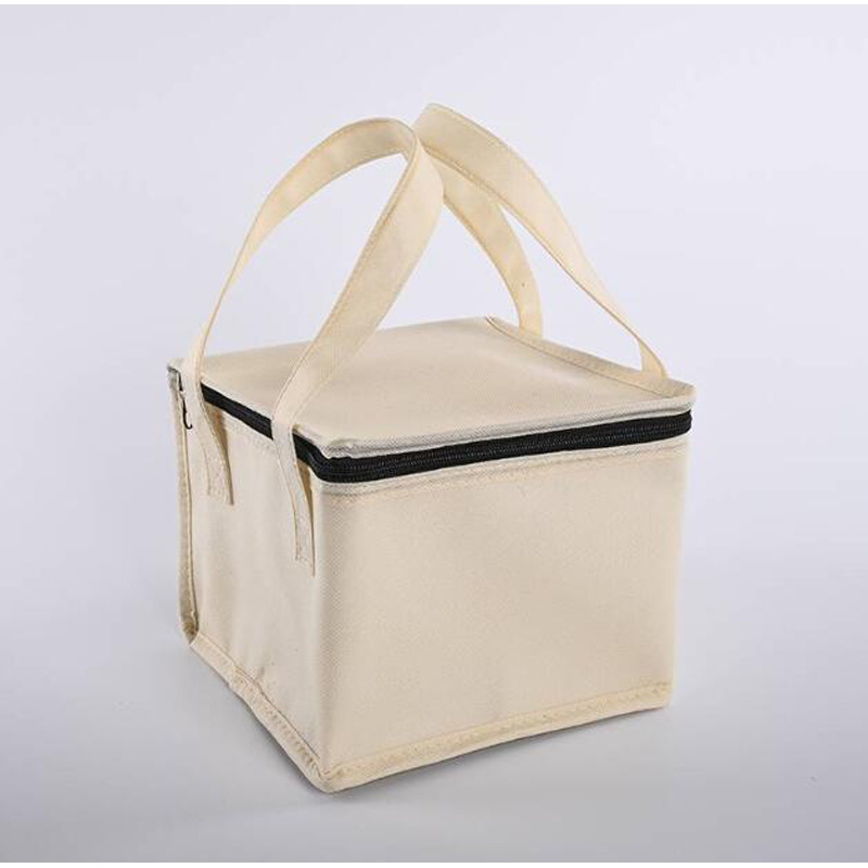 Non woven thermal bag,fresh food hand bag,fresh cool carry bag from stock factory directly