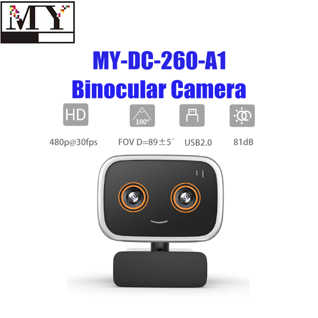 Binocular Camera USB Webcam Face Recognition Video Conference Remote Video with Microphone Fixfocus 1080P 30 Fps Stock Web Cam