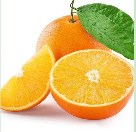 Sweet orange Flavor Concentrated Food Flavors Direct Wholesale Manufacturer Fruity Sweet Aroma