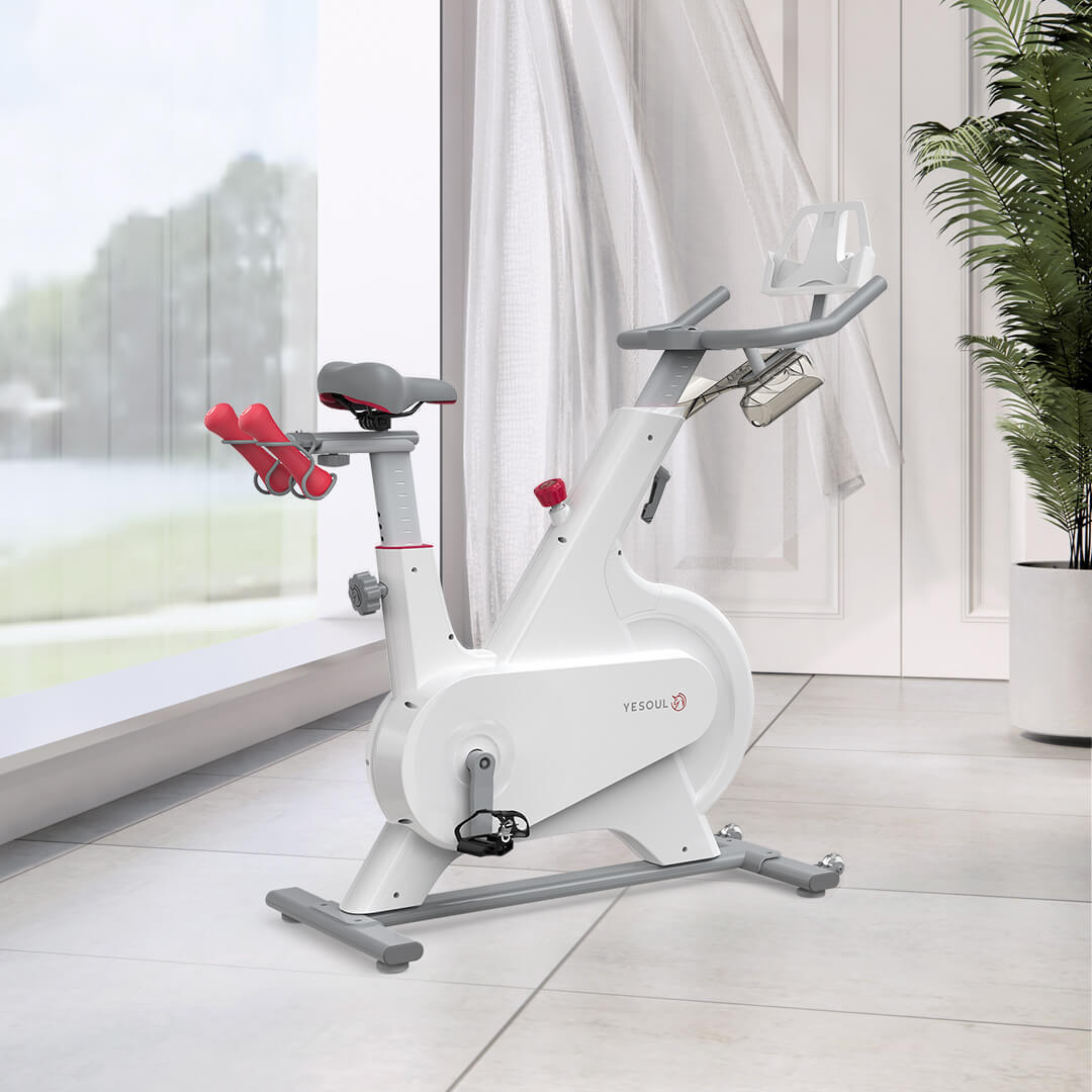 Xiaomi Youpin YESOUL Wild Beast Quiet Riding Smart Spinning Bike M1