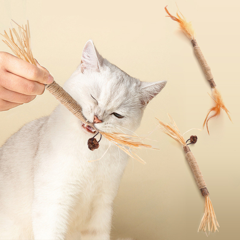 Pet Natural Silvervine Matatabi Cat Chew Sticks Blend Sticks Lafite Grass Fruits Cat Toys Catnip Toys for Cat