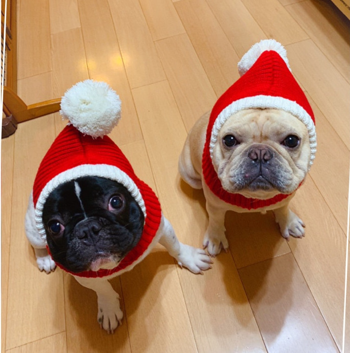 Red Santa Dog Hat Winter Pet Dog Accessories New Year Happy Pet Hat Dog Costume Christmas Hat for Cats Reindeer Puppy Cap Scarf