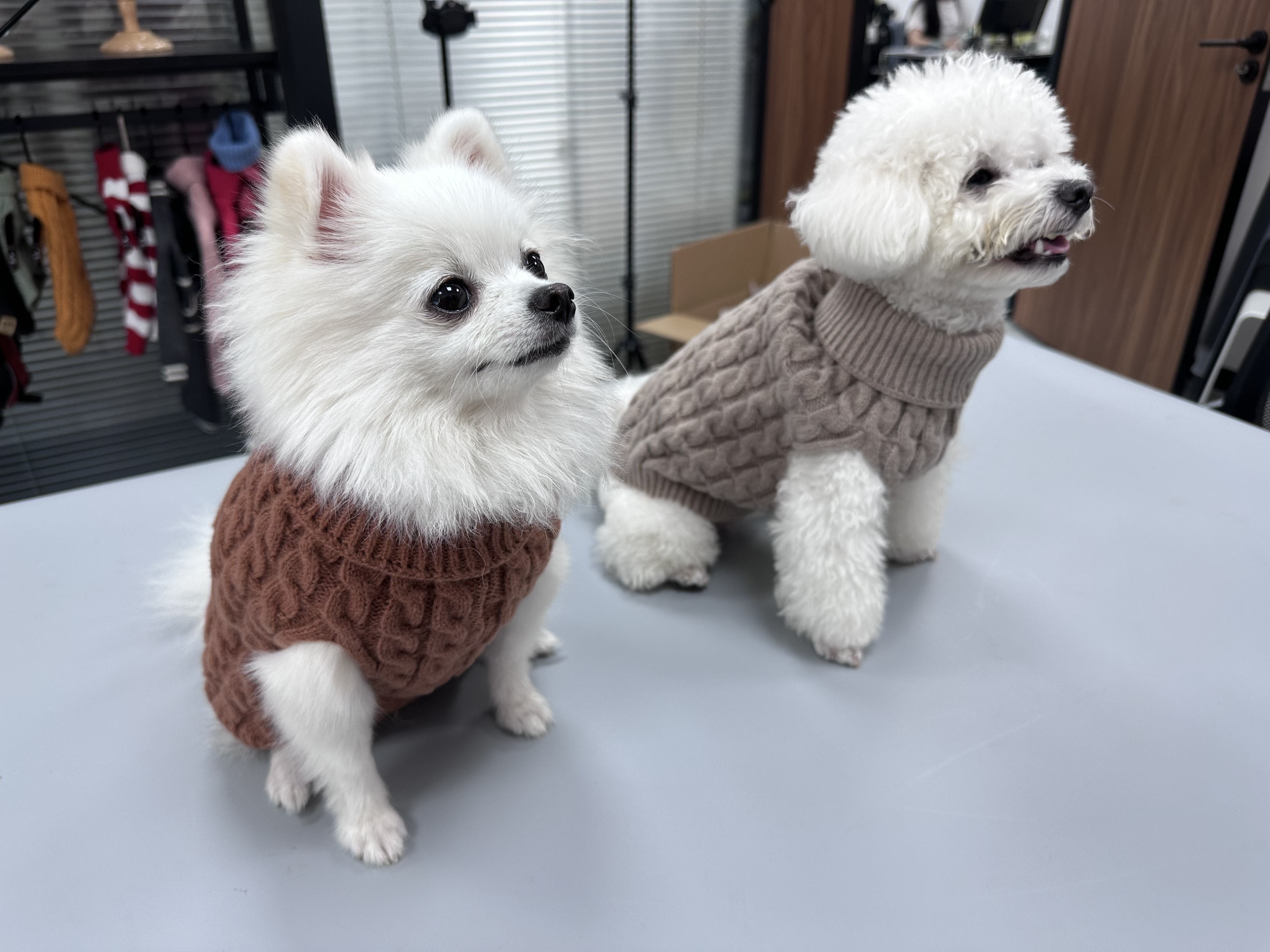 dog sweater knit jumper pullovers pet clothes factory red sweater oem odm sweater for cat low moq high quality