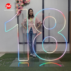 Party Supplies Led Birthday Numbers Neon Lights, Neon Letters Signs for 21st Birthday Party Decorations