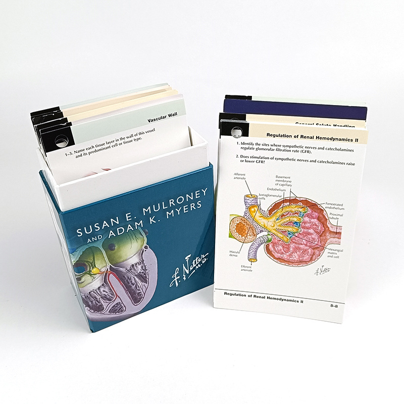 Custom Design Printing Physiology Science Flash Cards Educational Learning Flash Cards with Box