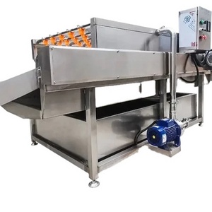 Industrial America Tomatillos Cactus Fruit Potato Vegetable Wash Line Machine PE Bubble Wash Clean Motor Core Component Food