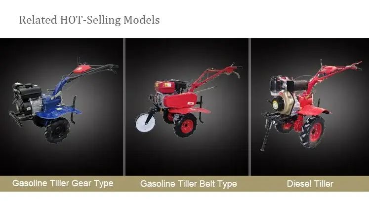 Agricultural Machinery Equipment Gasoline Cultivator Motocultor Two Wheel Power Mini Tiller