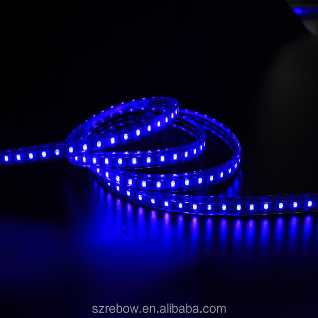 shenzhen led LED Strip Light Waterproof LED AC 220V SMD 3528 Flexible LED Light strip