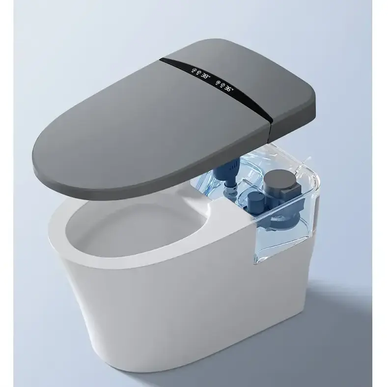 Sanitary Ware Smart Bidet Toilet Intelligent Water Tank Floor Mount Sanitario Inteligente Wc Gray Smart Toilet