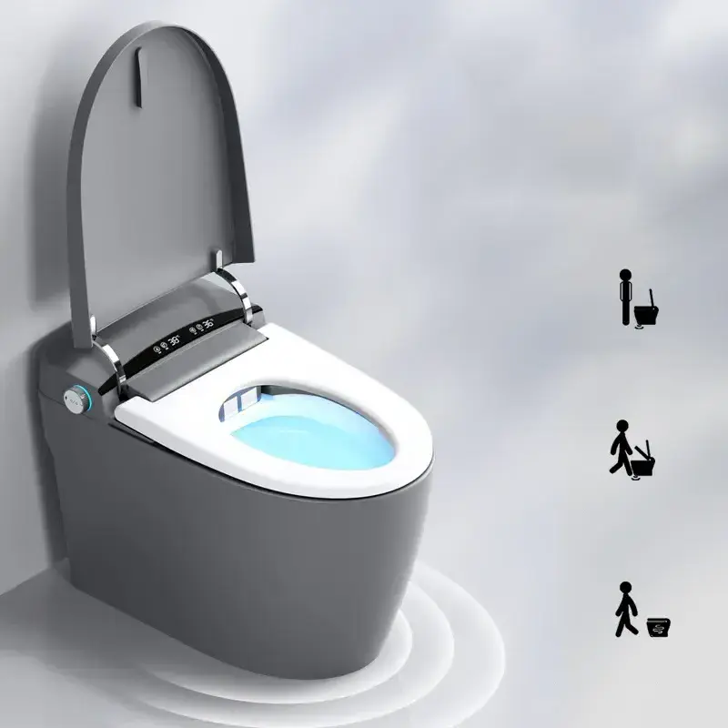 Sanitary Ware Smart Bidet Toilet Intelligent Water Tank Floor Mount Sanitario Inteligente Wc Gray Smart Toilet