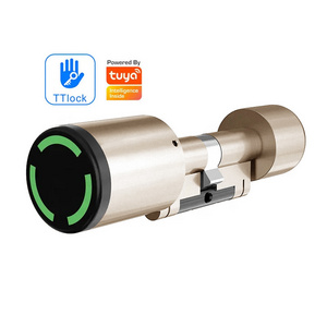 Euro Profile IP65 Keyless Smart Cylinder Lock TTlock Tuya Standard Electronic Door Lock Cylinder