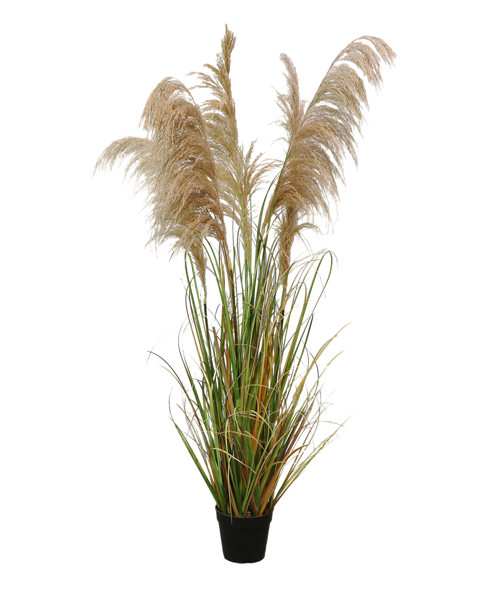 Senmasine 110cm 145cm 170cm 183cm Faux Reed Grass Large Plants Onion Grass Artificial For Indoor Outdoor Decor Manufacture